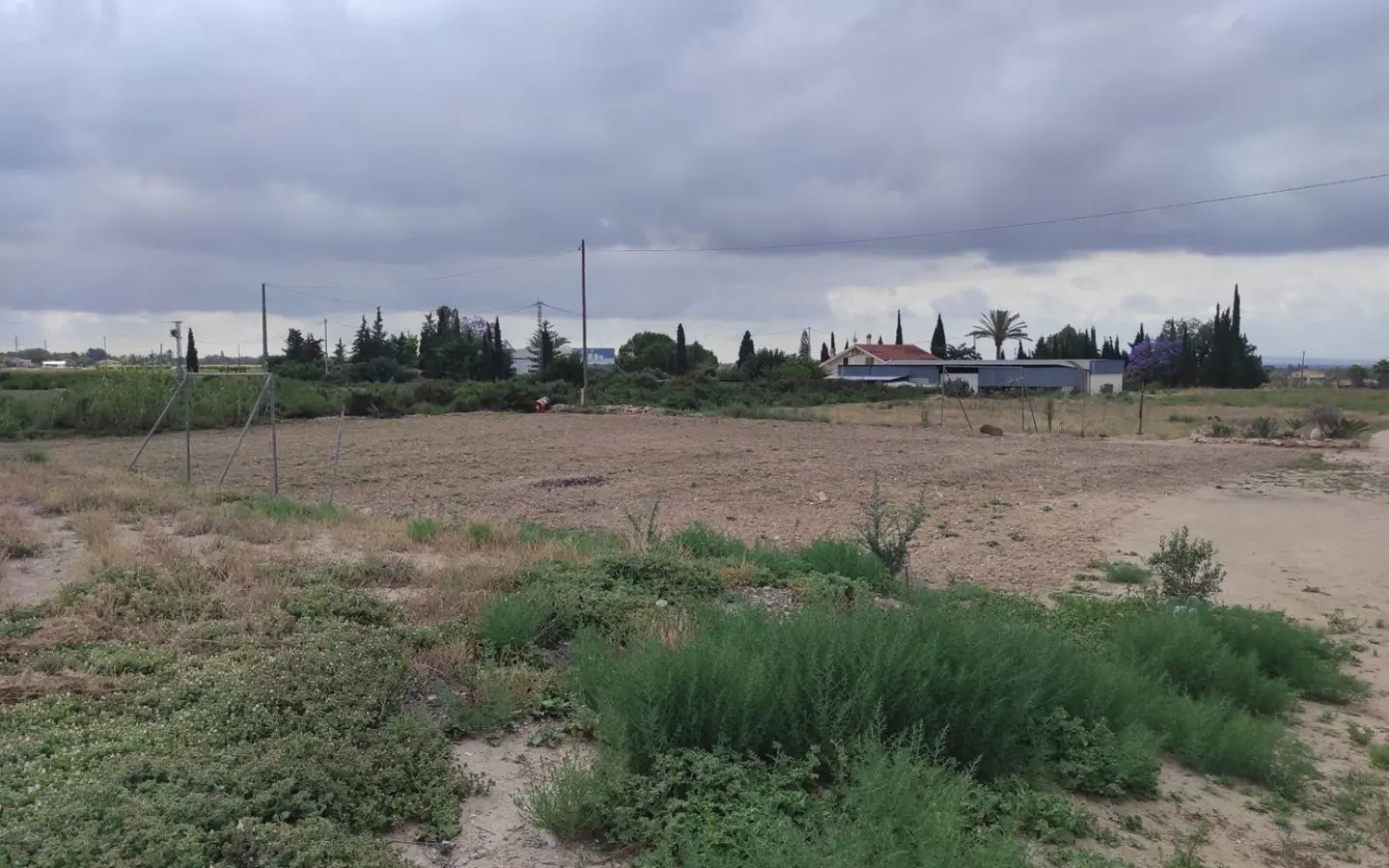 Country Land In Elche, Spain