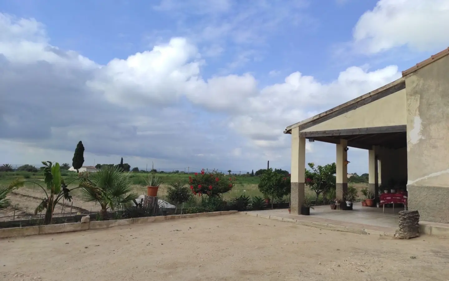 Country Land In Elche, Spain