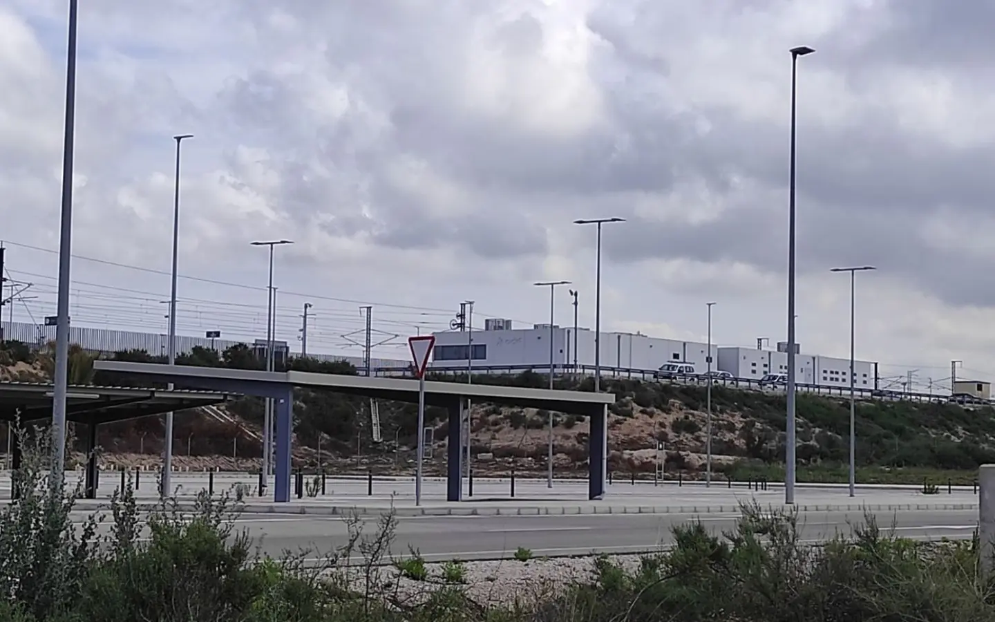 Country Land In Elche, Spain