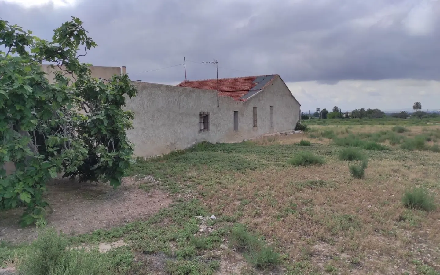 Country Land In Elche, Spain