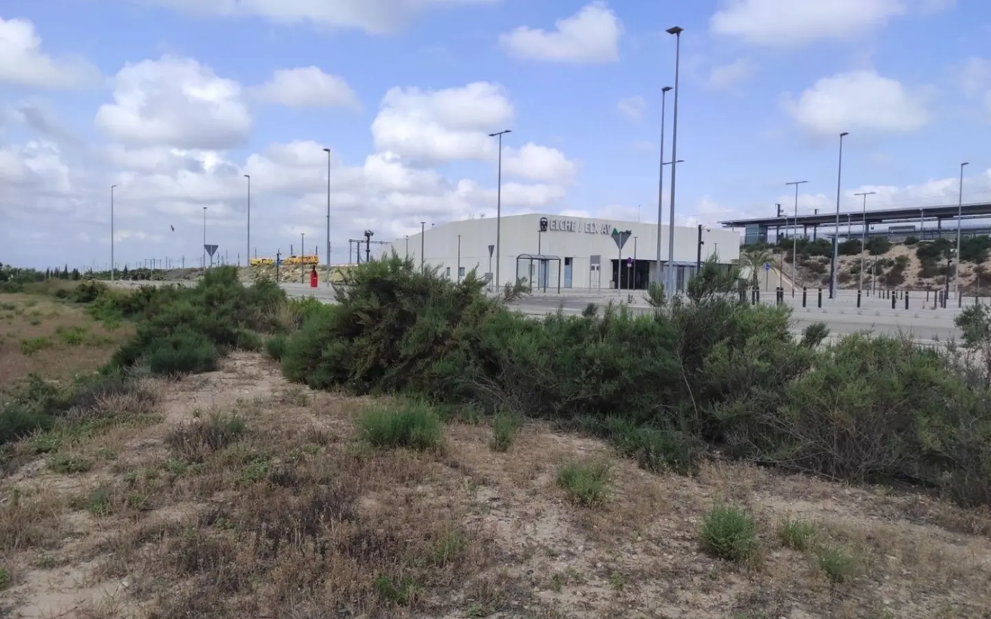 Country Land In Elche, Spain