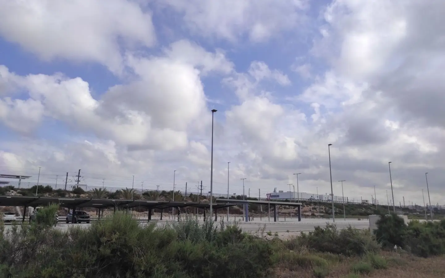 Country Land In Elche, Spain