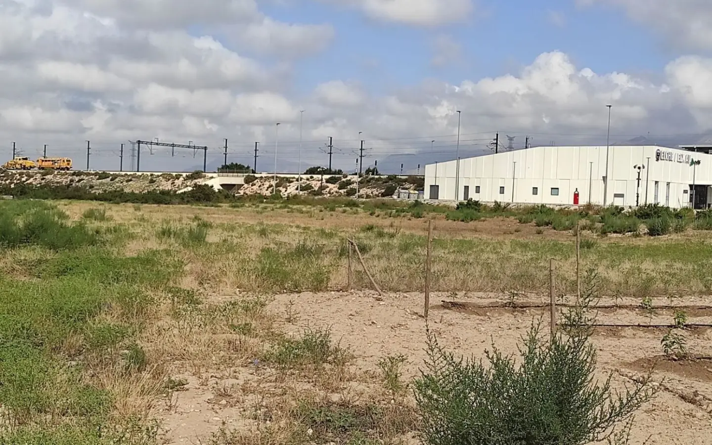 Country Land In Elche, Spain