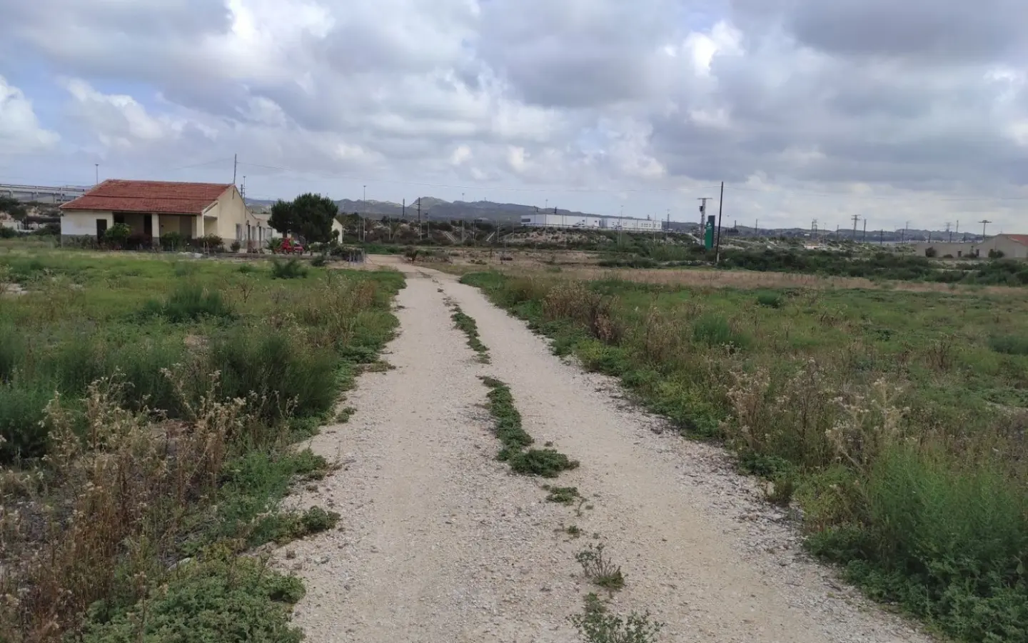 Country Land In Elche, Spain