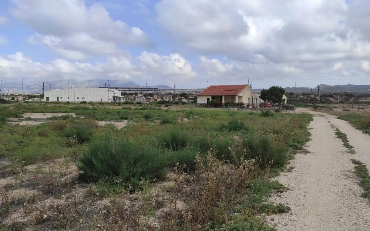 Country Land In Elche, Spain