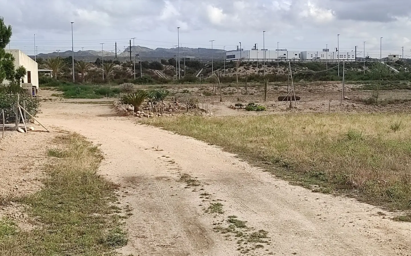 Country Land In Elche, Spain