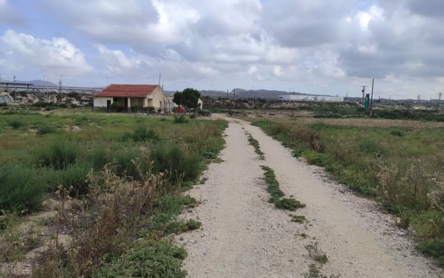 Country Land In Elche, Spain