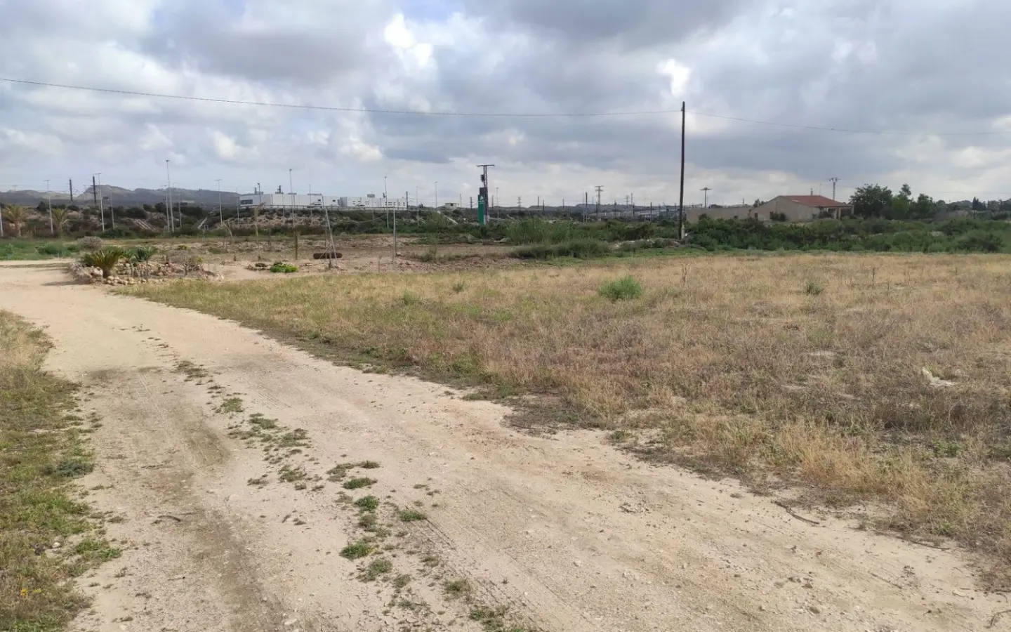 Country Land In Elche, Spain