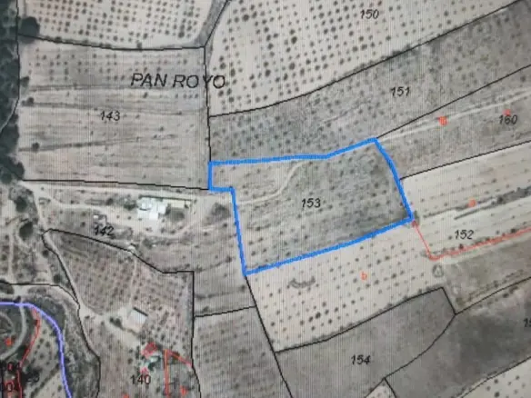 Land In Salinas, Spain (11.035 M² Plot)