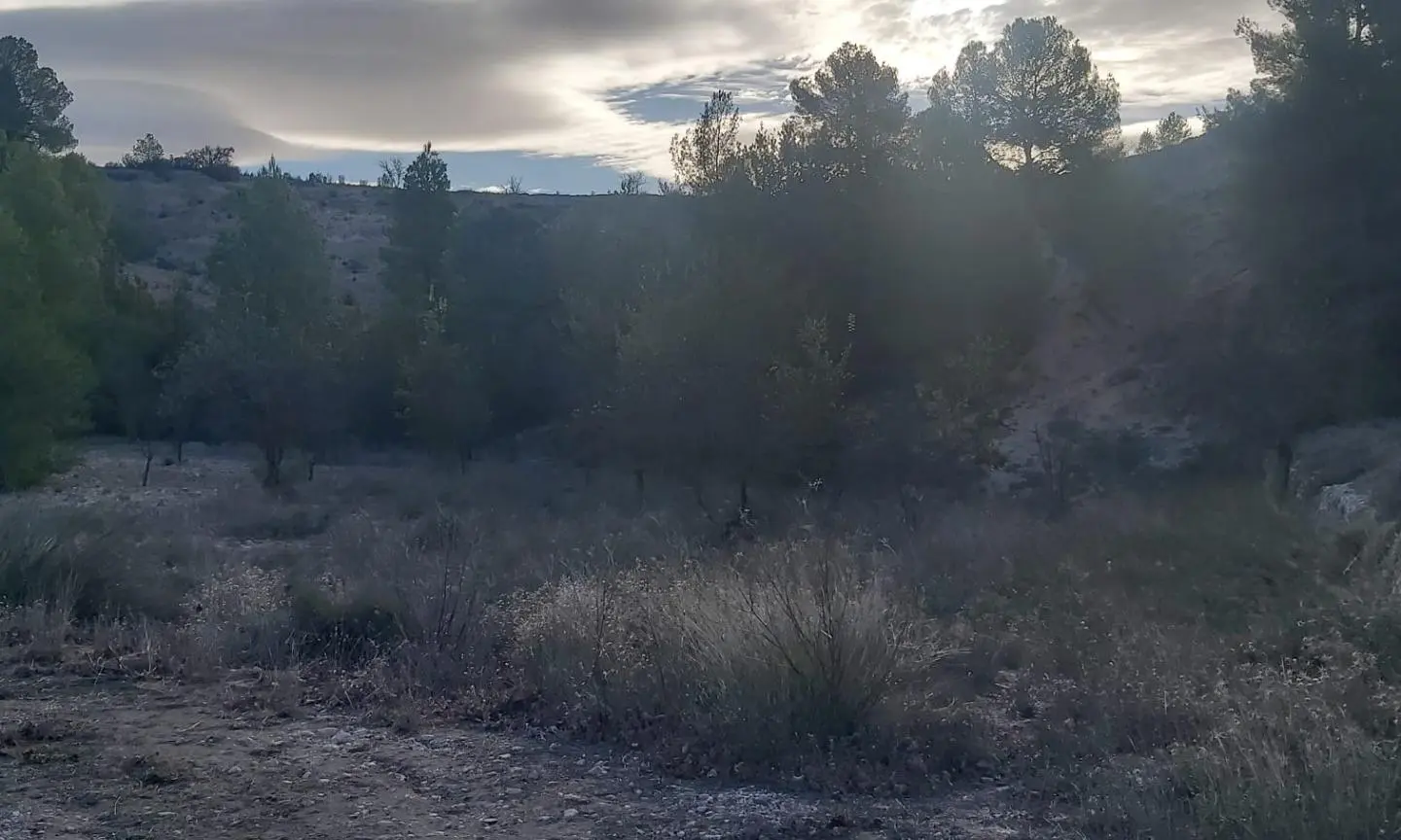 Country Land In Monovar – Monover, Spain