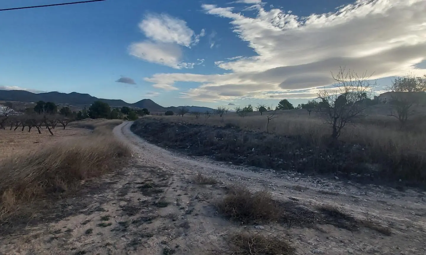 Country Land In Monovar – Monover, Spain