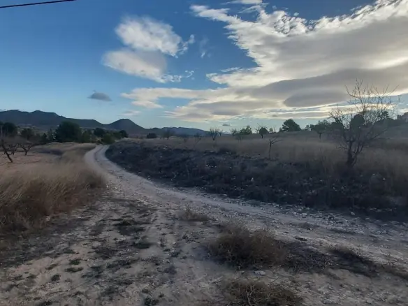 Country Land In Monovar – Monover, Spain