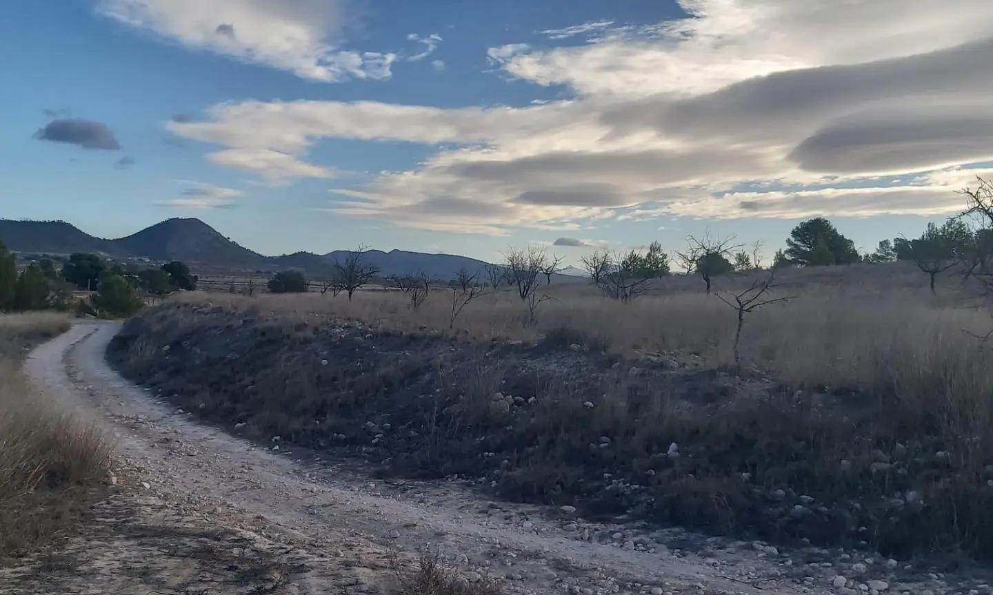 Country Land In Monovar – Monover, Spain