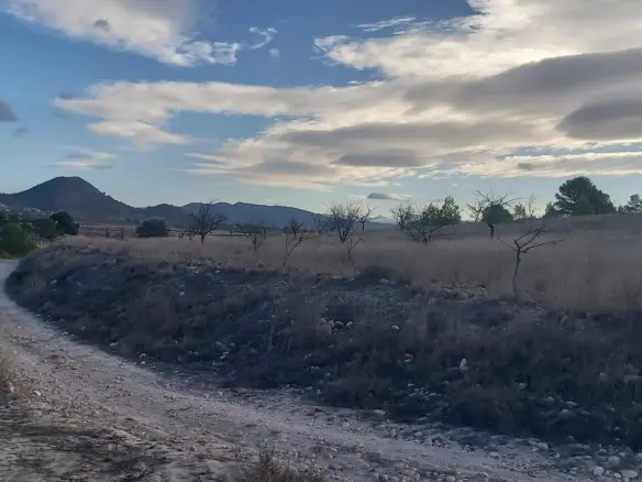 Country Land In Monovar – Monover, Spain