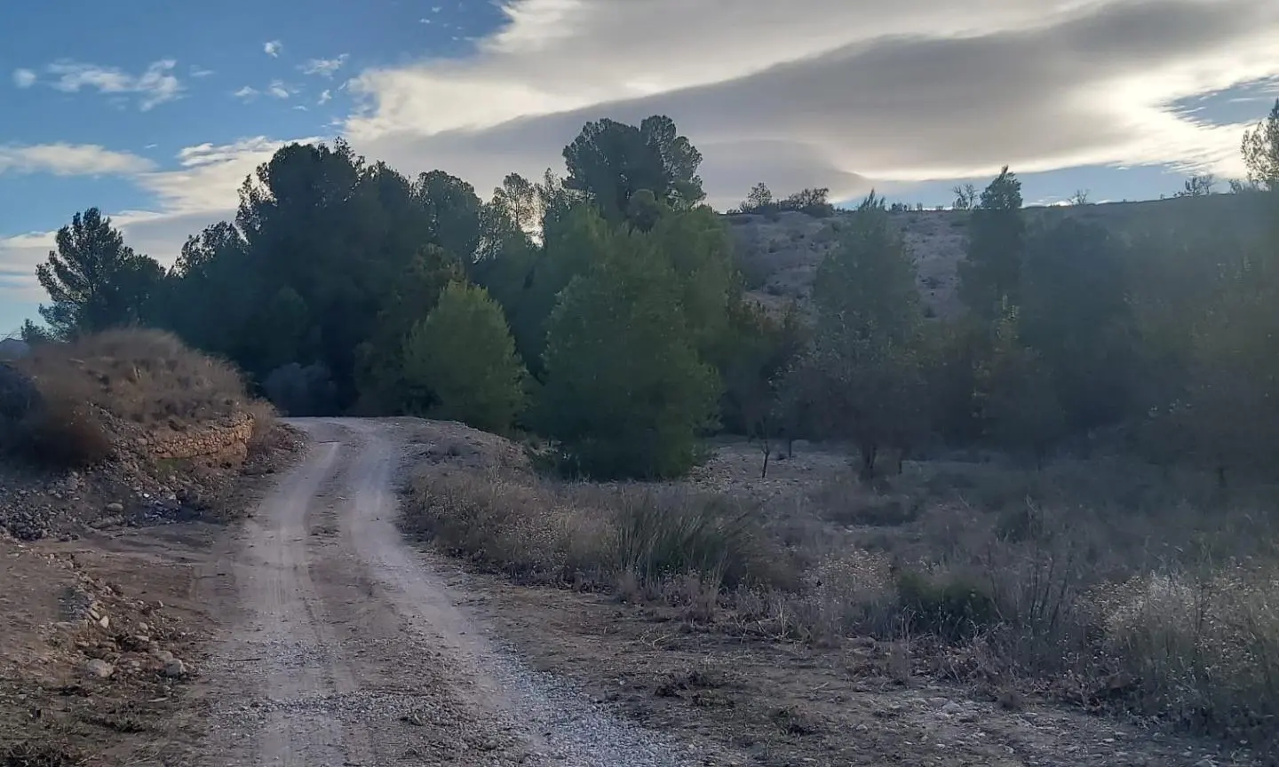 Country Land In Monovar – Monover, Spain