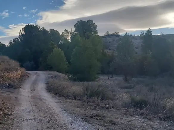 Country Land In Monovar – Monover, Spain