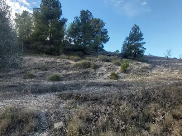Country Land In Monovar – Monover, Spain