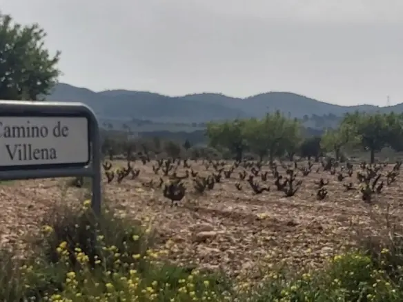 Land In Salinas, Spain (11.035 M² Plot)