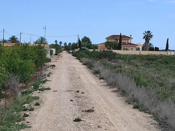 Land In Crevillent, Spain (30.120 M² Plot)