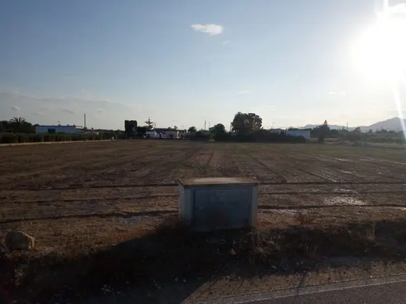 Land In Elche, Spain (5.700 M² Plot)