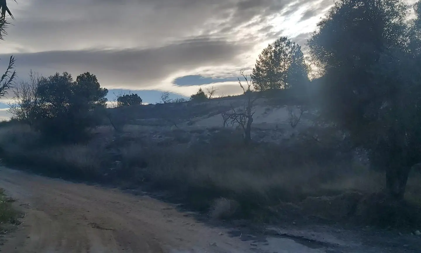 Country Land In Monovar – Monover, Spain