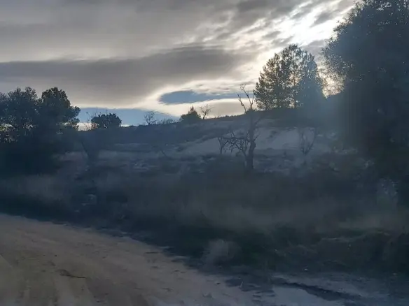 Country Land In Monovar – Monover, Spain