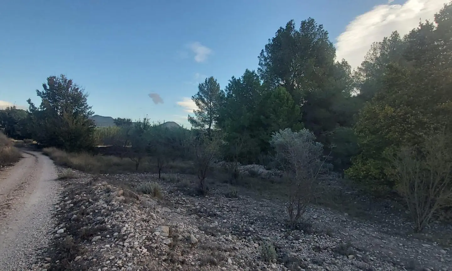 Country Land In Monovar – Monover, Spain