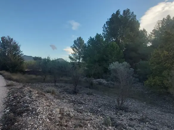 Country Land In Monovar – Monover, Spain