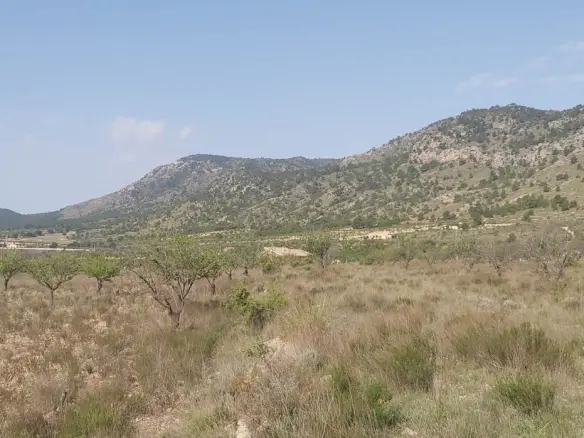 Land In Salinas, Spain (11.035 M² Plot)