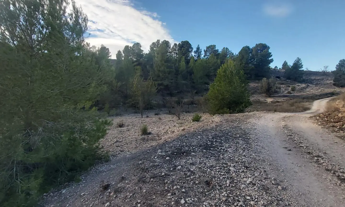 Country Land In Monovar – Monover, Spain