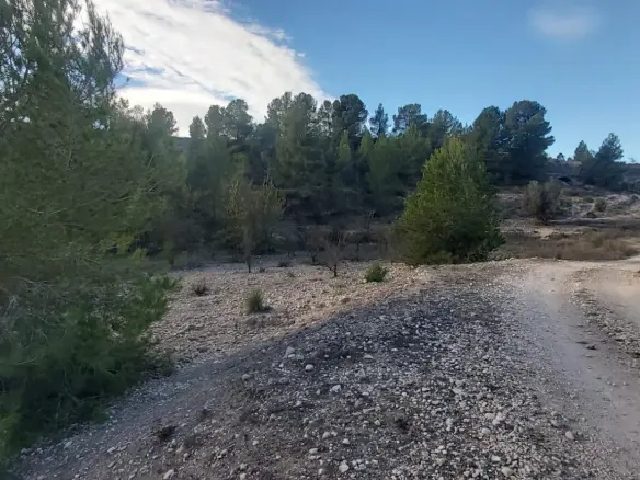Country Land In Monovar – Monover, Spain