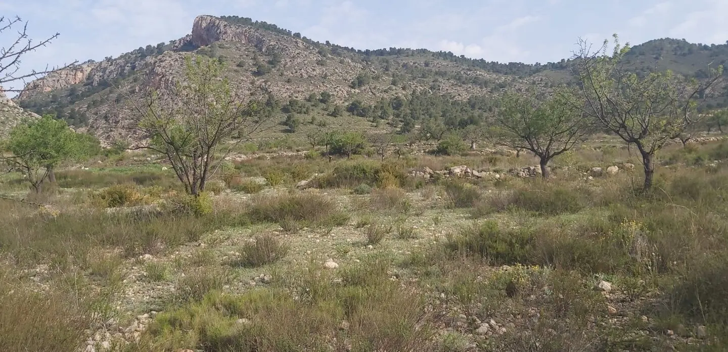 Land In Salinas, Spain (11.035 M² Plot)