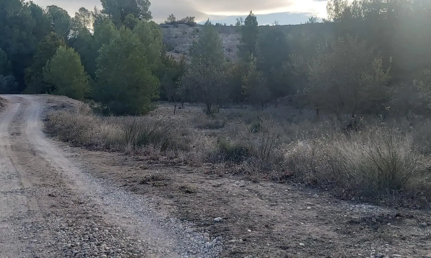 Country Land In Monovar – Monover, Spain