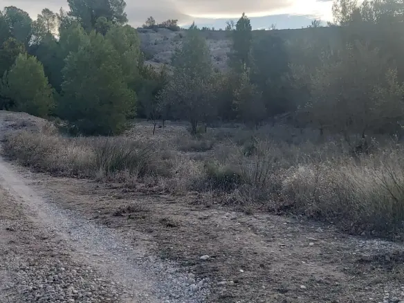 Country Land In Monovar – Monover, Spain