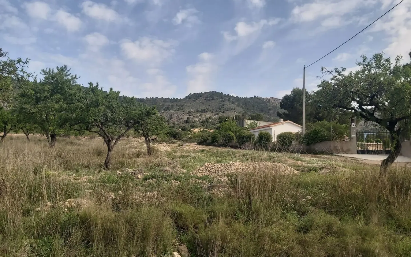 Land In Salinas, Spain (11.035 M² Plot)