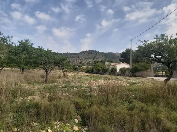 Land In Salinas, Spain (11.035 M² Plot)