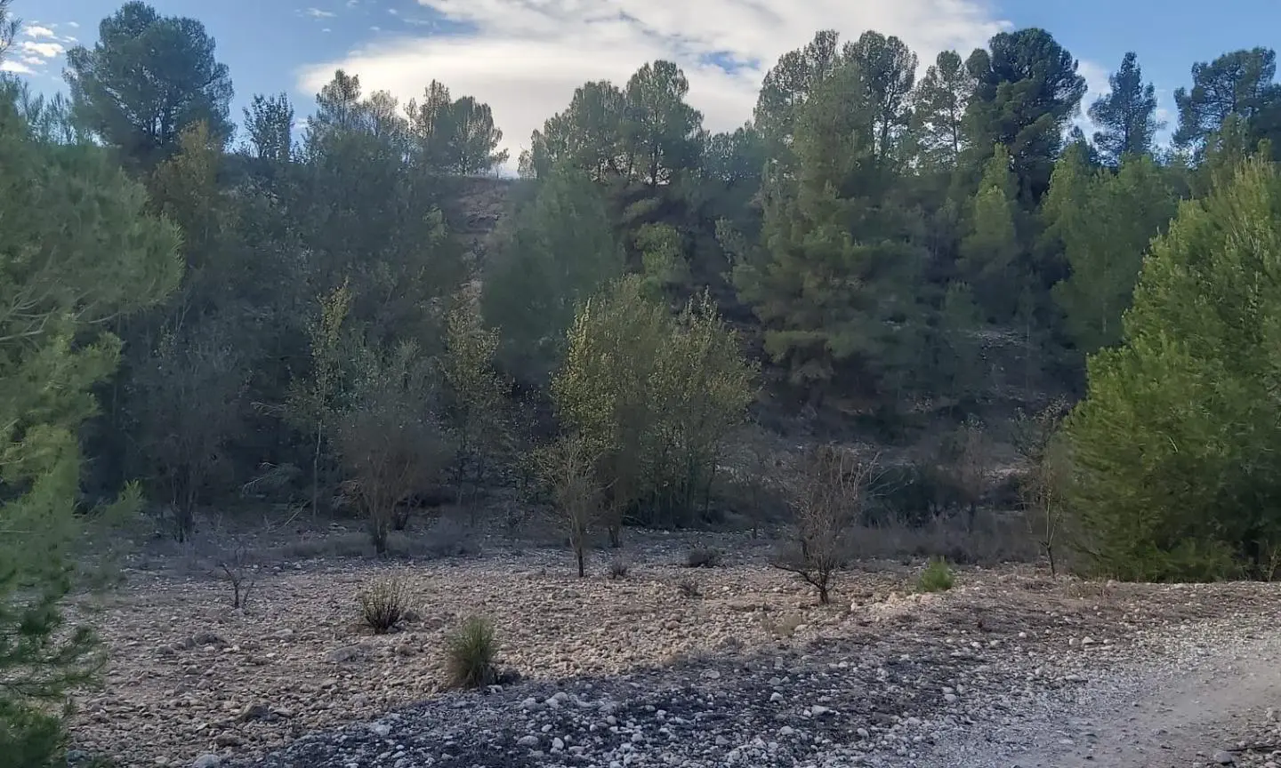 Country Land In Monovar – Monover, Spain