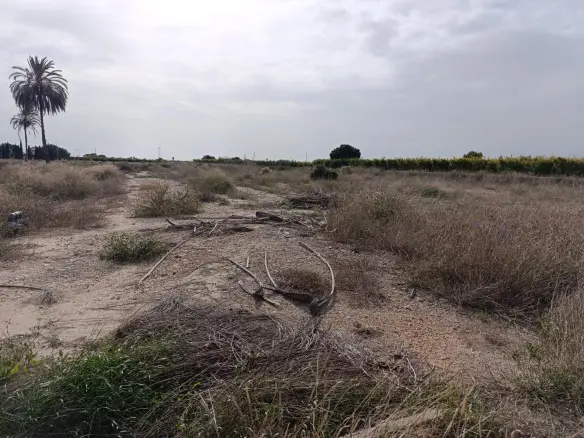 Land In Valverde (alicante), Spain (44.317 M² Plot)