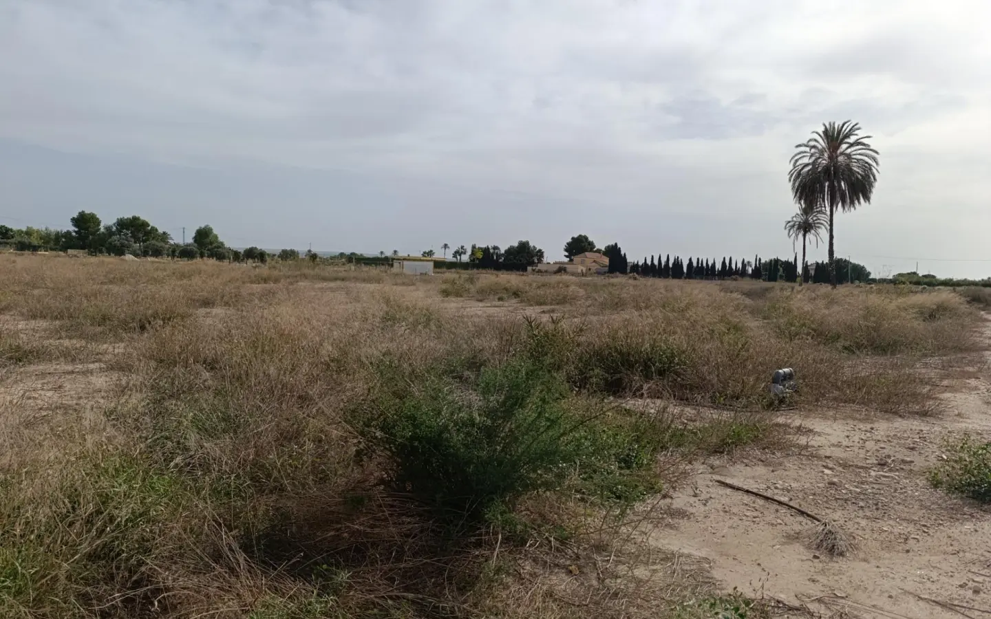 Land In Valverde (alicante), Spain (44.317 M² Plot)