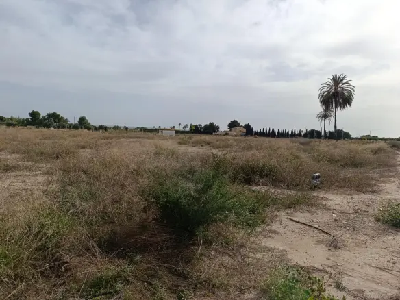Land In Valverde (alicante), Spain (44.317 M² Plot)
