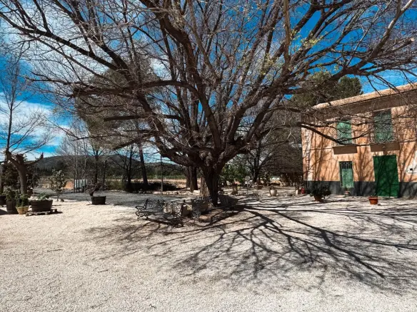 2-bedroom House In Monovar – Monover, Spain (375 M²)