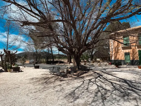 2-bedroom House In Monovar – Monover, Spain (375 M²)