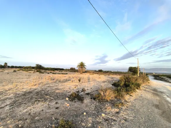Land In La Marina, Spain (25.229 M² Plot)