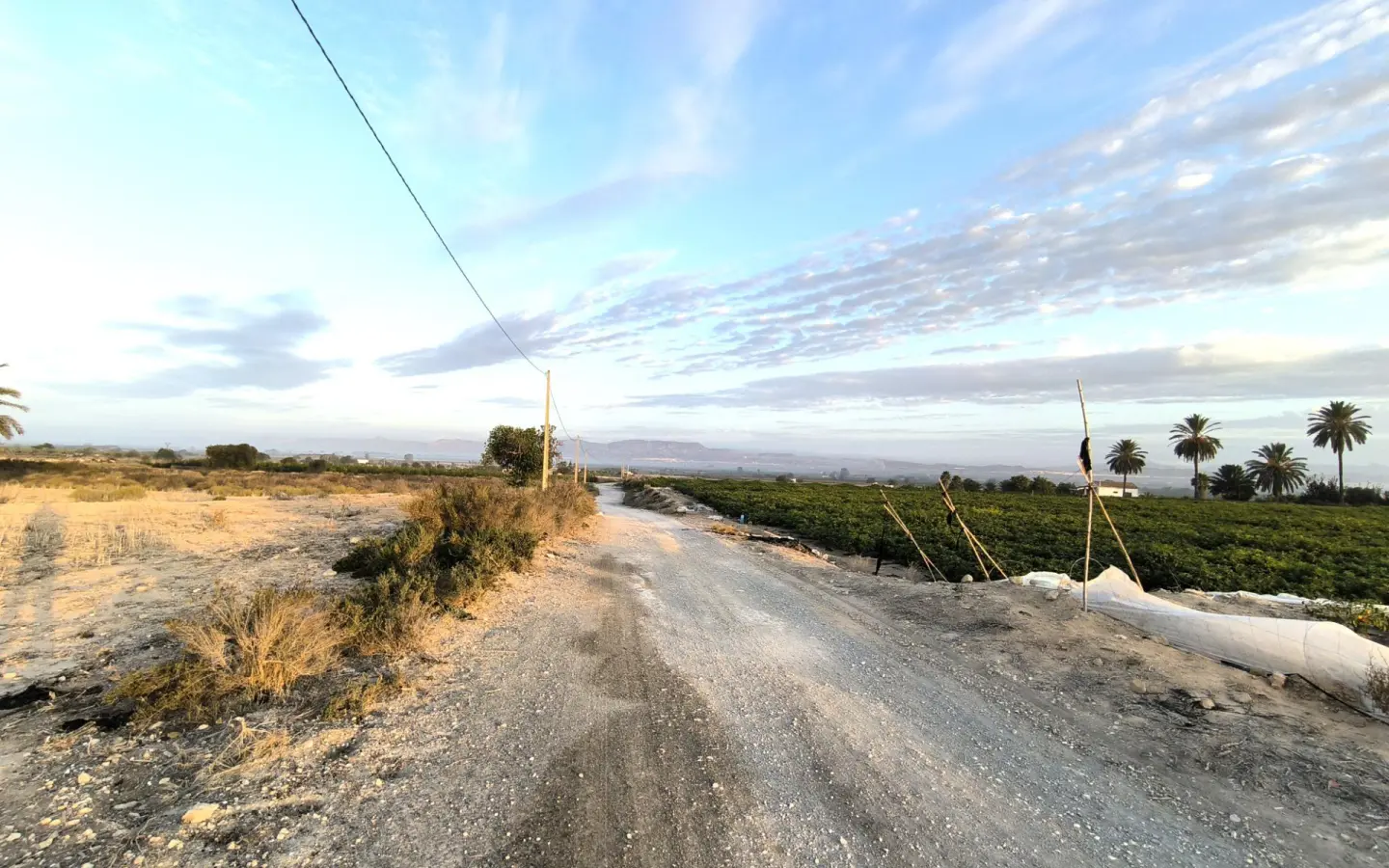 Land In La Marina, Spain (25.229 M² Plot)