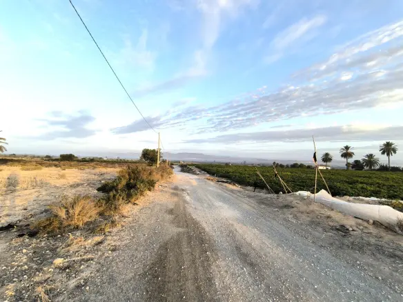 Land In La Marina, Spain (25.229 M² Plot)