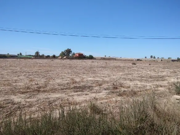 Urban Plot In Elche Pedanias, Spain (795 M²)