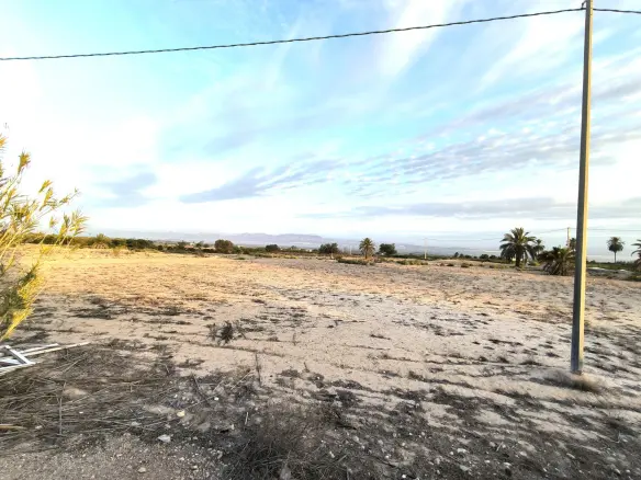 Land In La Marina, Spain (25.229 M² Plot)