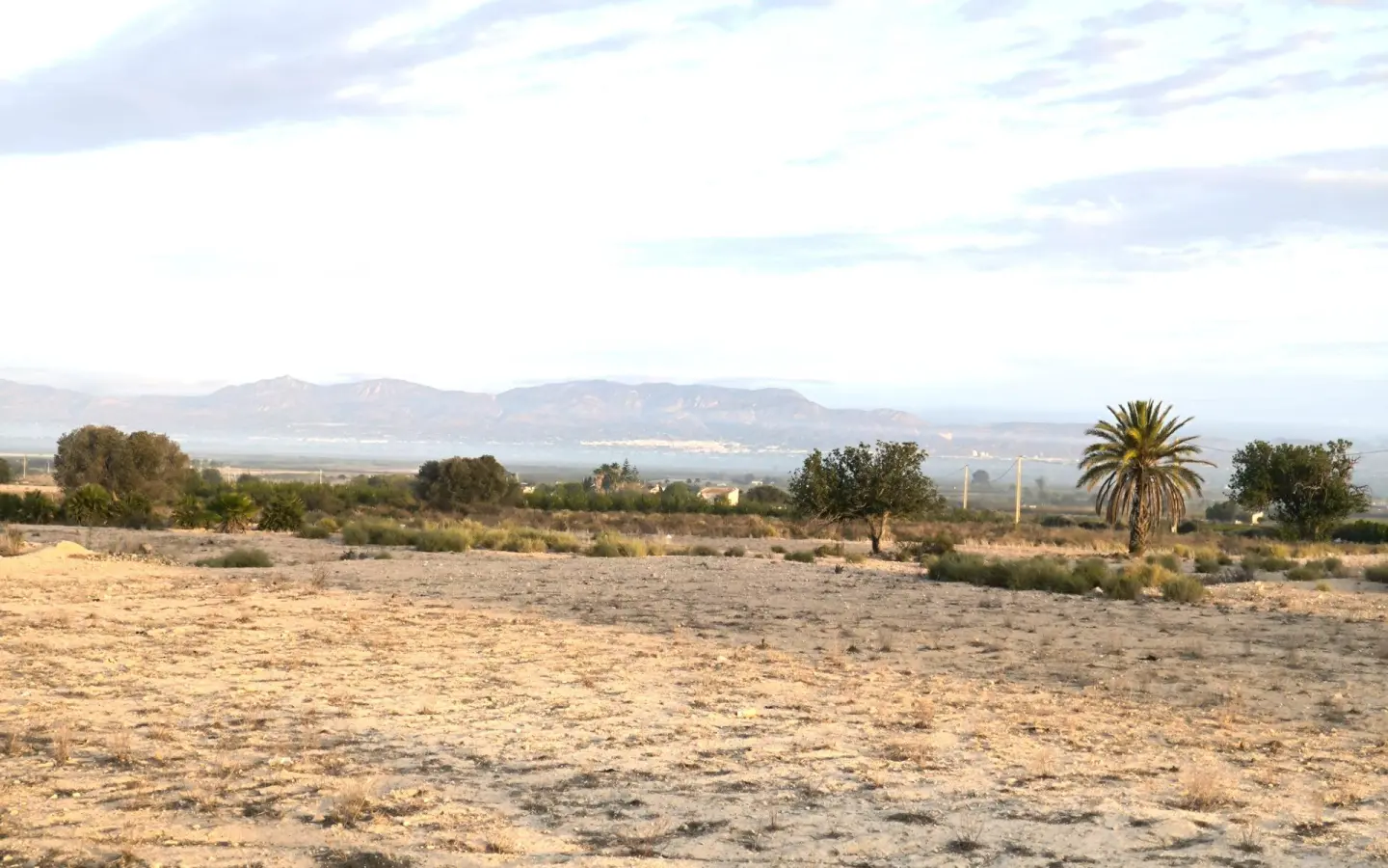 Land In La Marina, Spain (25.229 M² Plot)