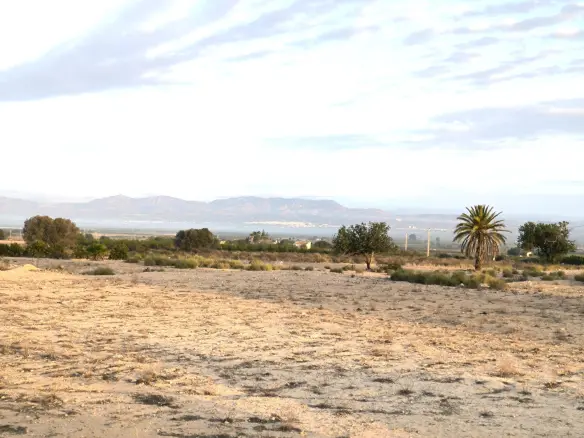 Land In La Marina, Spain (25.229 M² Plot)