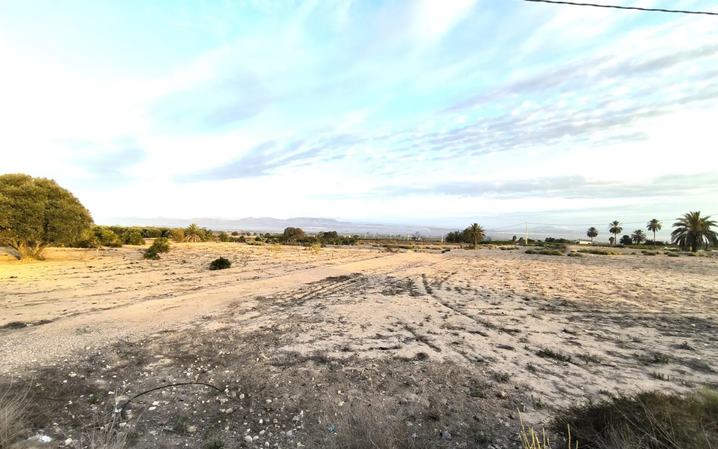 Land In La Marina, Spain (25.229 M² Plot)